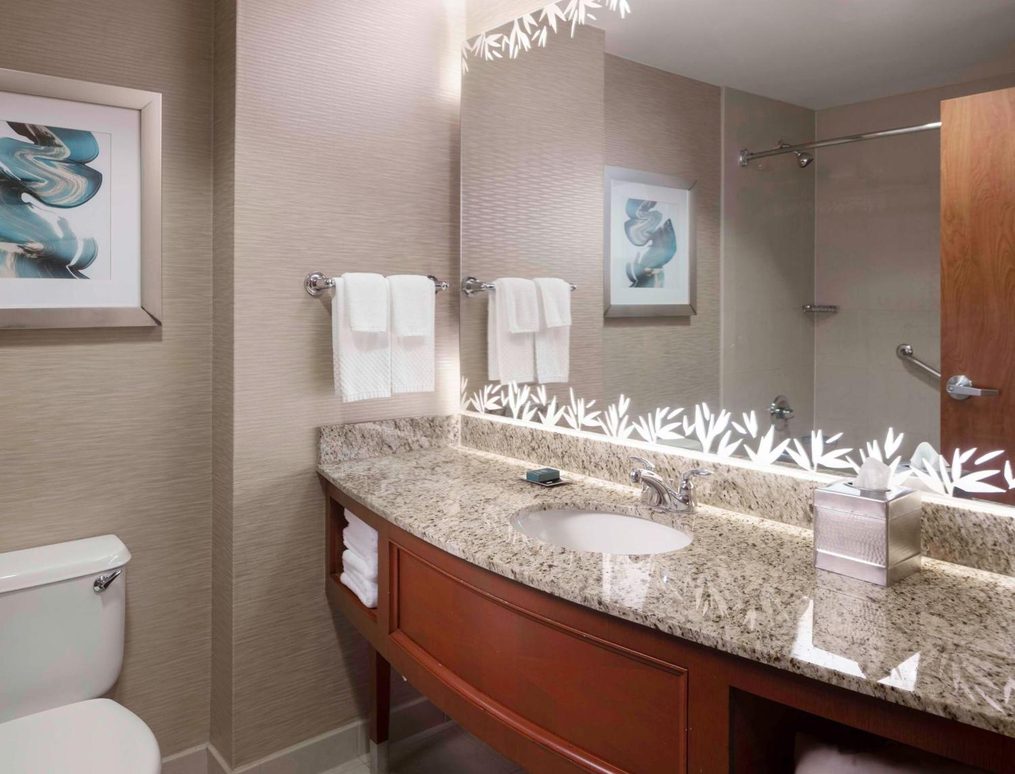 Hotel Hilton St. Petersburg Carillon Park Zewnętrze zdjęcie